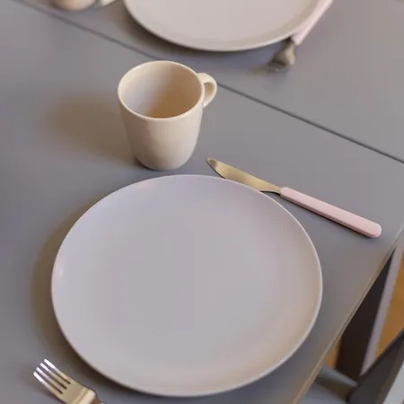 Savoya Flat In The Center Apartment Timisoara