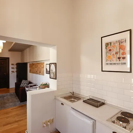 Savoya Flat In The Center Timisoara