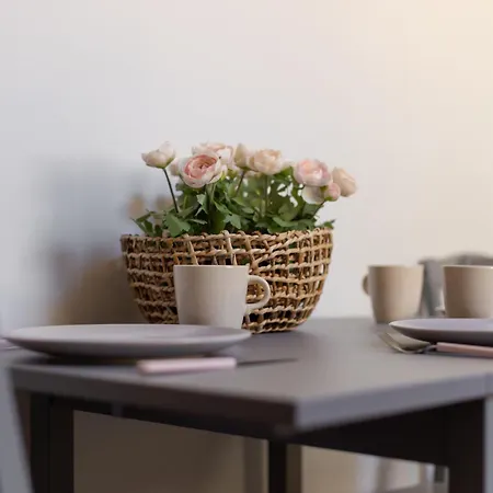 Savoya Flat In The Center Timisoara