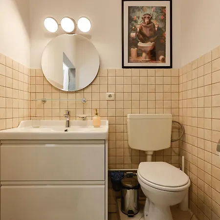 Savoya Flat In The Center Timisoara