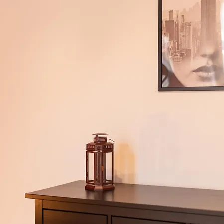 Savoya Flat In The Center * Timisoara