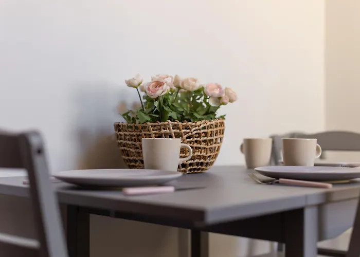 Savoya Flat In The Center Timisoara