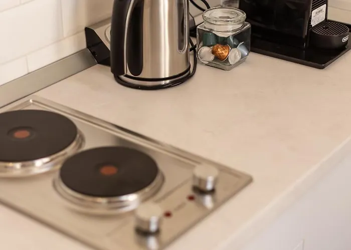 Savoya Flat In The Center