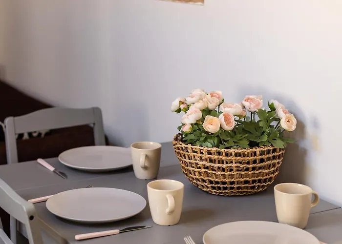 Savoya Flat In The Center Appartamento Timisoara