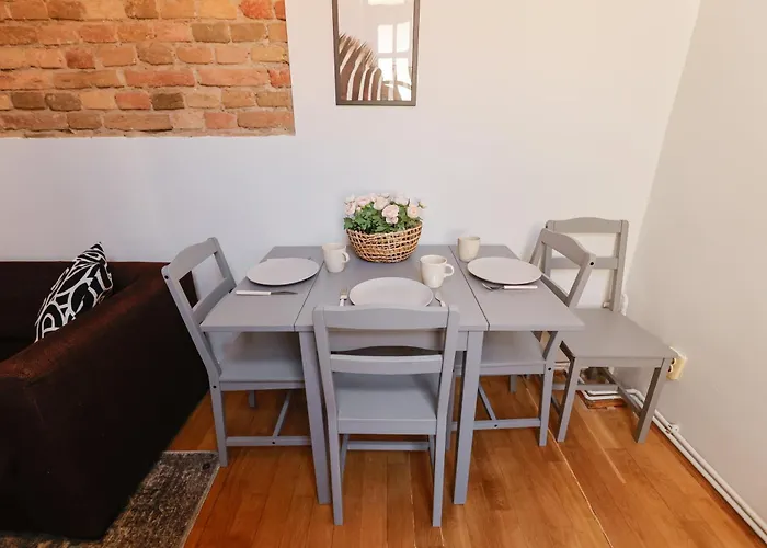 Savoya Flat In The Center Appartamento Timisoara