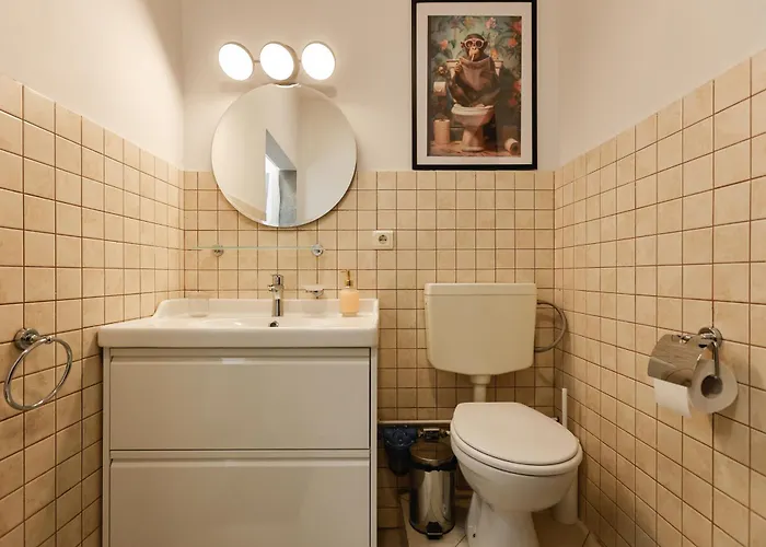 Savoya Flat In The Center Timisoara