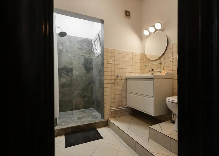 Savoya Flat In The Center Timisoara