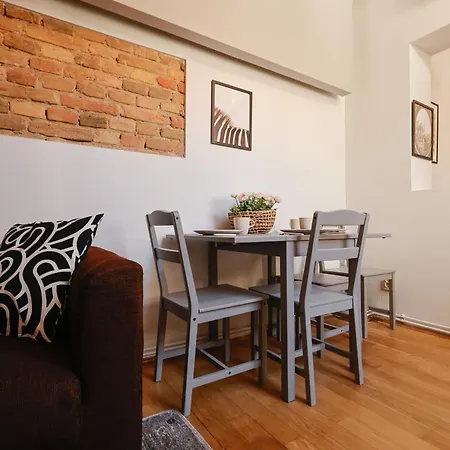 Savoya Flat In The Center Apartamento Timişoara