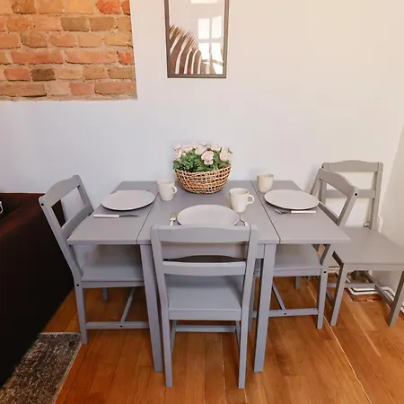 Savoya Flat In The Center Apartamento Timişoara